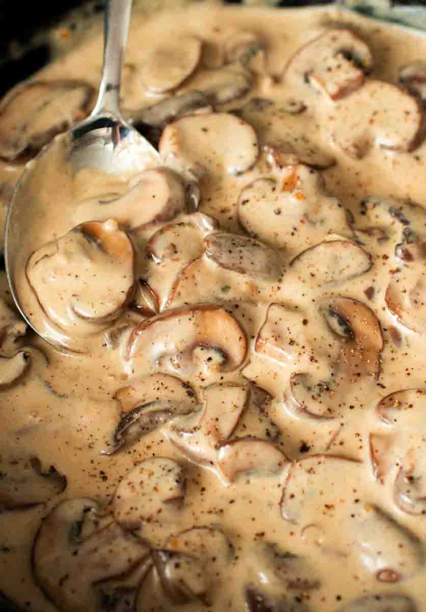 vegan mushroom sauce